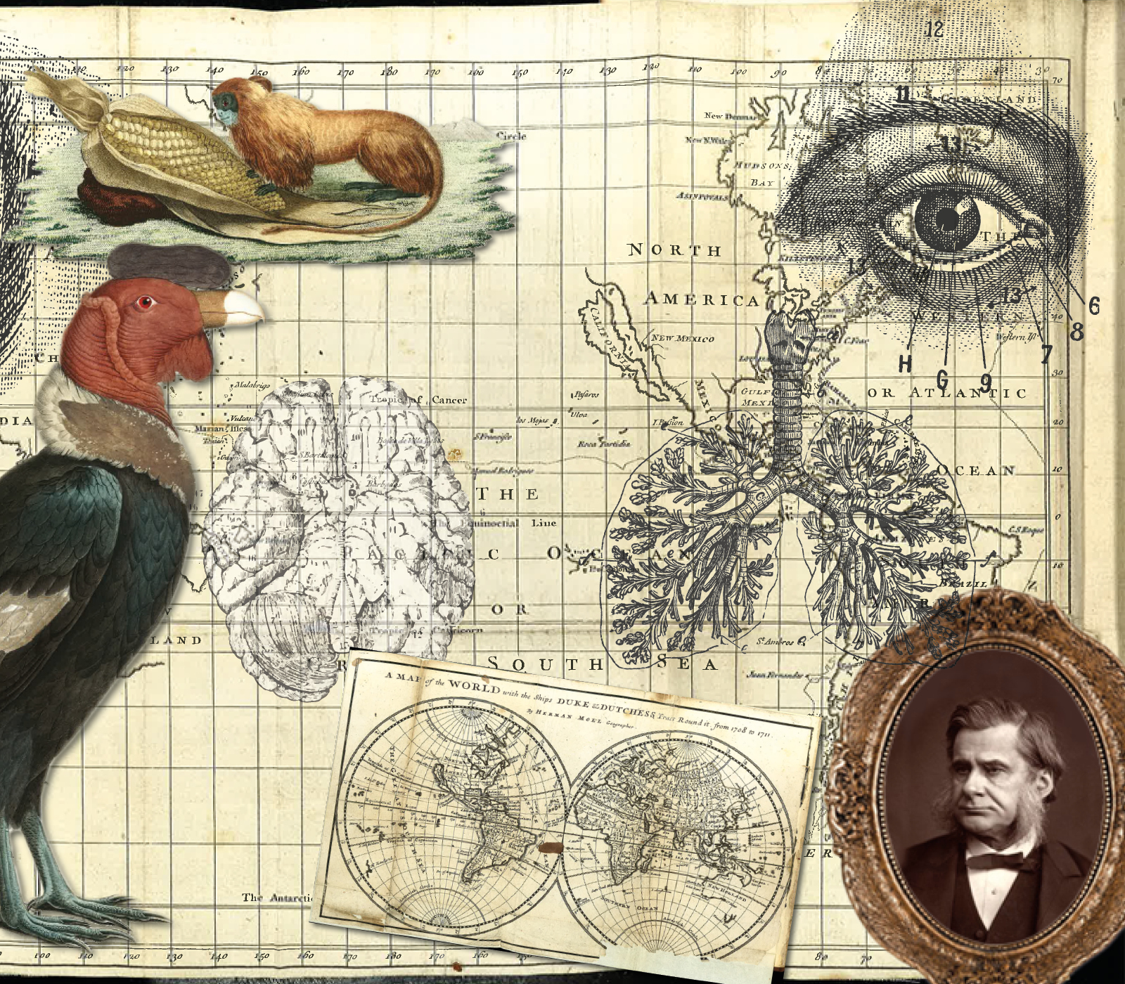 Around the world exhibition