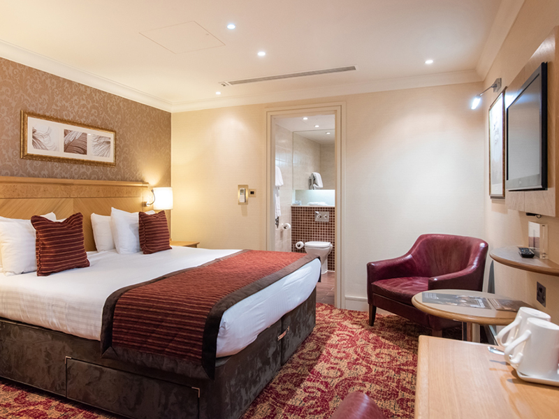 Domus - executive double