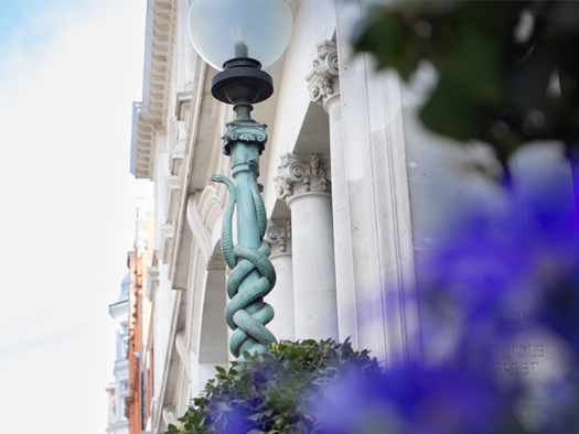 Lamp post and purple flowers - Promo